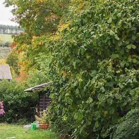 Apartment Nachhaltige-ferienwohung-wisentsteig-wandern-waldbaden-wohlfuehlen *