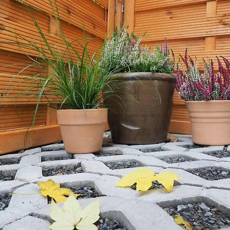 Nachhaltige-ferienwohung-wisentsteig-wandern-waldbaden-wohlfuehlen Apartment *