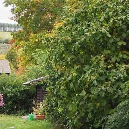 Nachhaltige-ferienwohnung-wisentsteig-wandern-waldbaden-wohlfuehlen Appartamento *