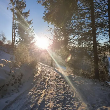 Lejlighed Nachhaltige-ferienwohnung-wisentsteig-wandern-waldbaden-wohlfuehlen *