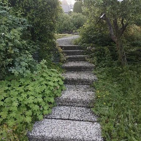 Nachhaltige-ferienwohnung-wisentsteig-wandern-waldbaden-wohlfuehlen Appartamento