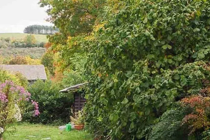 Nachhaltige-ferienwohnung-wisentsteig-wandern-waldbaden-wohlfuehlen 아파트 *