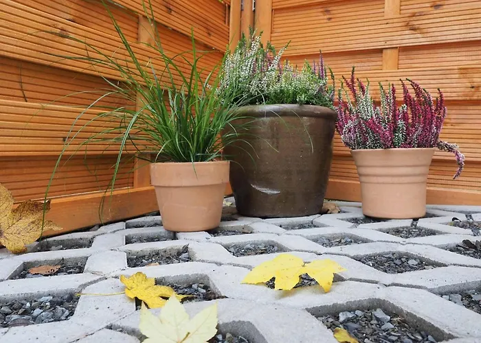 Nachhaltige-ferienwohnung-wisentsteig-wandern-waldbaden-wohlfuehlen * 바트베르레부르크