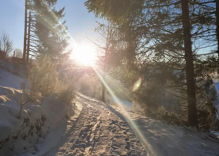 아파트 Nachhaltige-ferienwohnung-wisentsteig-wandern-waldbaden-wohlfuehlen *